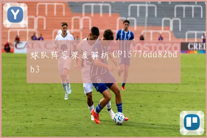球队阵容深度解析 CP15776dd82bdb3