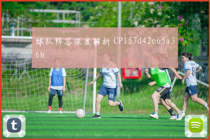 球队阵容深度解析 CP157d42e65a36b