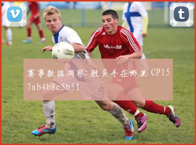 赛事数据洞察:胜负手在哪里 CP157ab4b8c5b51